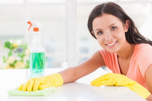 Carpet cleaning team in Fulham with recycling-focused equipment