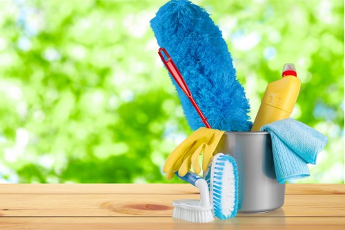 Professional carpet cleaner starting a service with equipment