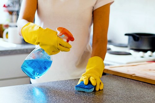 Detailed carpet cleaning process used by Fulham carpet cleaners