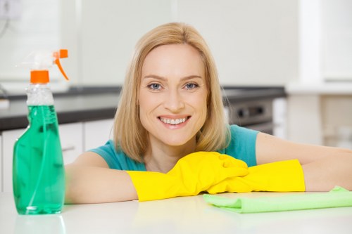 Steam carpet cleaning equipment used in a Fulham home