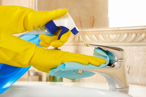 Deep steam cleaning for carpets in Fulham
