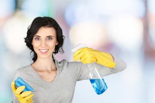 Professional hot water extraction carpet cleaning process