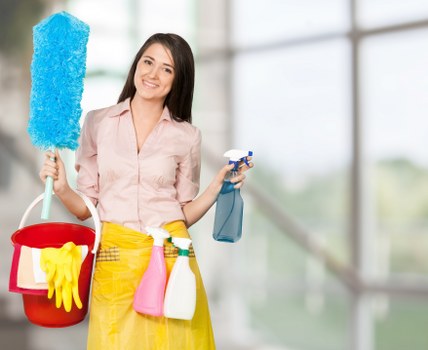 Professional carpet extraction for pet stain odour removal in Fulham