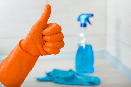 Steam extraction carpet cleaning service in Fulham