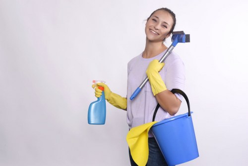 Cleaner treating a lounge sofa with specialist equipment