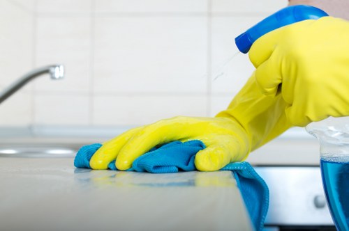 Close-up of upholstery stain removal on a sofa