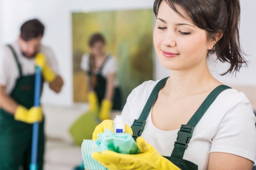 Finished carpet cleaning service with professional tools