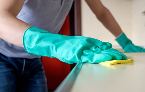 Enzyme cleaning products used for pet stain odour removal in Fulham